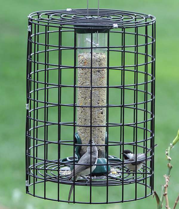 Clever Clean Seed Tube Feeder with Squirrel Cage